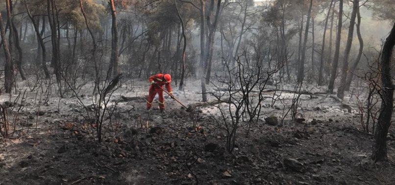 FOREST FIRE ERUPTS IN ISTANBULS HEYBELIADA
