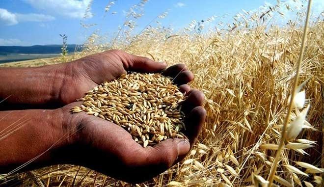 Türkiye’deki israfın son boyutu dehşete düşürüyor