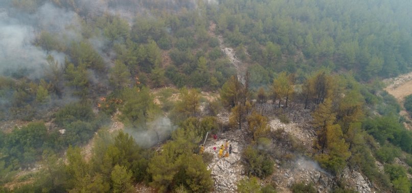 180 WILDFIRES IN TURKEY UNDER CONTROL, SAYS FORESTRY MINISTER