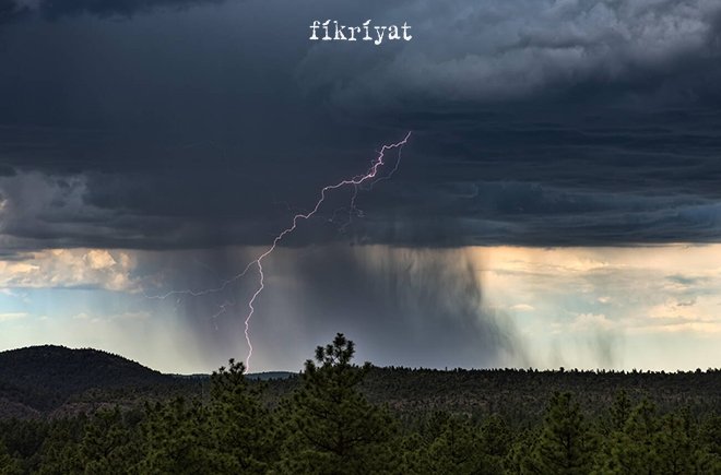 🔶 Nazım Şekilleri