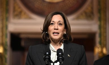 US Vice President Harris condemns attempted takeover of power in Niger