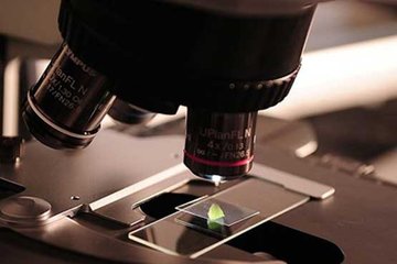 Atomlar, ışınla kapana kıstırıldı