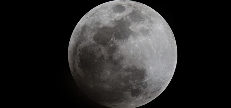 EARTHS INDESTRUCTIBLE CREATURES MAY NOW BE LIVING ON MOON