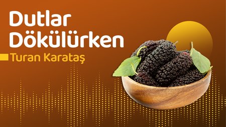 Dutlar Dökülürken | Turan Karataş