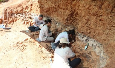 9-mln-year-old fossils unearthed in southwestern Türkiye