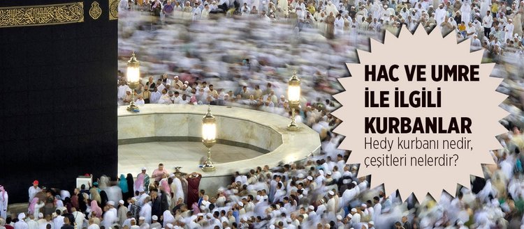 Hedy Kurbani Nedir Hedy Kurbani Cesitleri Nelerdir Hedy Kurbani Nerede Kesilir Hac Ve Umre Ile Ilgili Kurbanlar Fikriyat