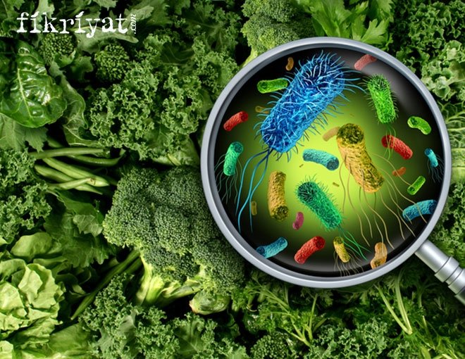 BESİN ZEHİRLENMESİNİN BELİRTİLERİ NELERDİR?