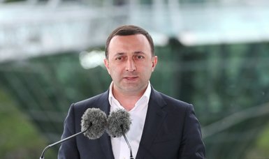 Georgia's PM says committed to joining NATO
