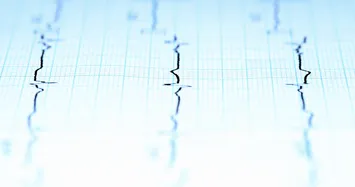 Powerful earthquake hits Indonesia