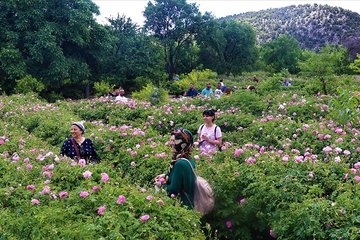 Isparta’dan 9 ayda 367 milyon dolar ihracat yapıldı