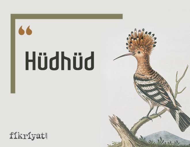HÜDHÜD