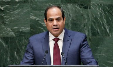 Gazans must 'remain on their land': Egypt's Sisi