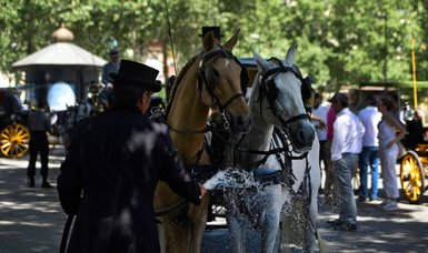 One horse dies, another collapses pulling Seville tourist carriages in heatwave