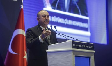 Türkiye's 'entrepreneurial, humanitarian' foreign policy benefits world, says foreign minister