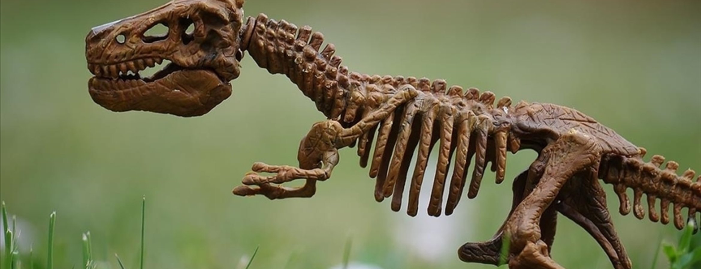 Araştırmacılar, milyonlarca yıl önce yaşamış iki parmaklı yeni dinozor türü keşfetti