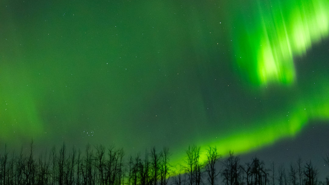 ALASKA’DA KUZEY IŞIKLARI ŞOVU