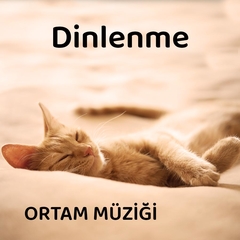 Dinlenme