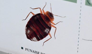 Paris battling bedbugs ahead of 2024 Olympic Games