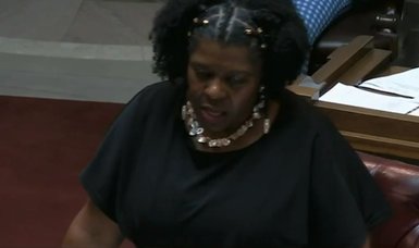 Democratic lawmaker LaTonya Johnson under fire for controversial 'f--- the suburbs' remark