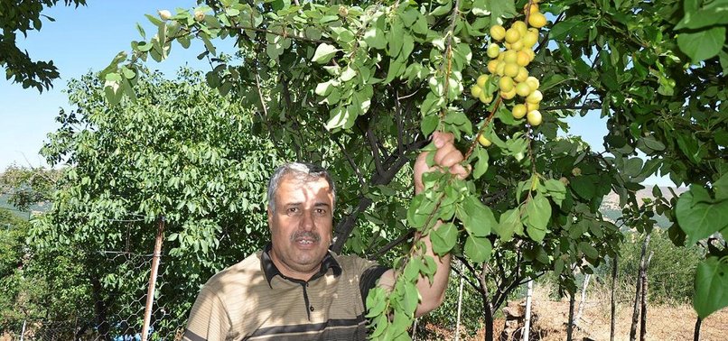TURKISH VILLAGERS RETURN HOME 26 YEARS AFTER PKK ORDEAL