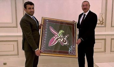 Azerbaijan's Aliyev receives executives from Turkish defense firm Baykar