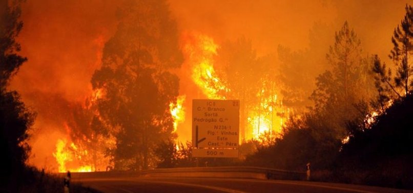 DOZENS OF PEOPLE KILLED IN DEADLY FOREST FIRE IN PORTUGAL