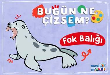 Bugün Ne Çizsem? Fok Balığı