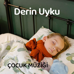 Derin Uyku Müzikleri