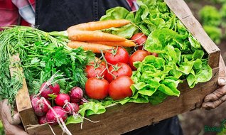 Sonunda değerleri anlaşıldı