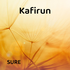 Kafirun Suresi'ni Arapça Dinle 