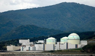 Court in Japan blocks plan to restart nuclear plant