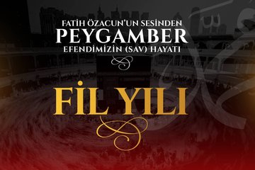6. Bölüm - Fil Yılı