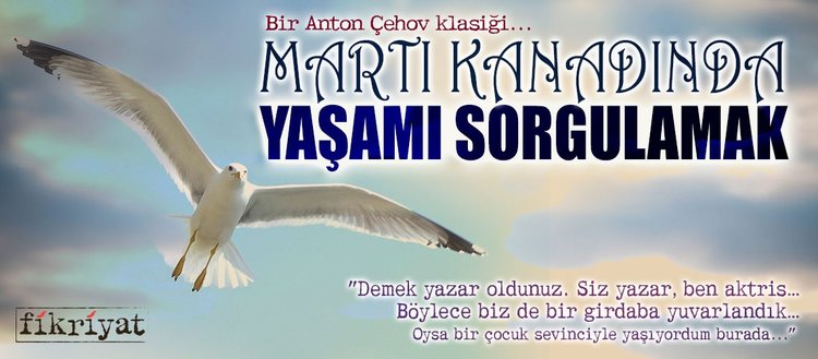 Marti Kanadinda Yasami Sorgulamak Fikriyat Gazetesi
