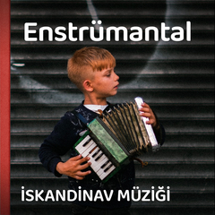 Enstrümantal İskandinav Müzikleri