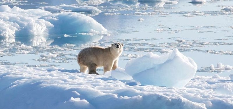 'More likely than not' world will soon see 1.5C of warming - WMO