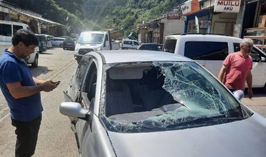 Bear damaged a parked car in Türkiye