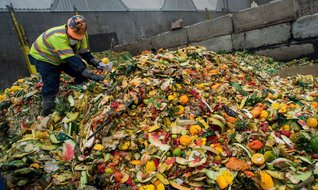 Her gün bir milyar öğün, çöpe gidiyor