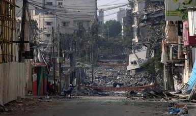UN calls for immediate cease-fire amid 'horrific' situation in Gaza