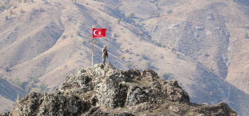 SECURITY FORCES PERSUASION EFFORTS LEAD TO SURRENDER OF 4 PKK TERRORISTS