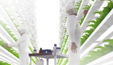 DİKEY TARIMIN KENTLERDEKİ YERİ