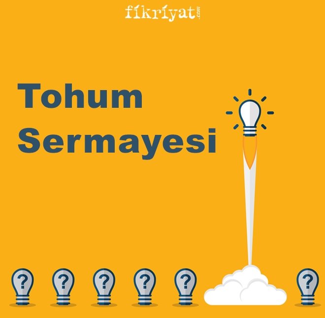 Tohum Sermayesi