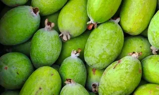 Üreticinin yeni gözdesi