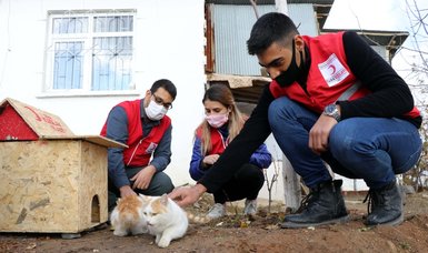 Turkish Red Crescent feeds stray animals amid COVID-19 curfew