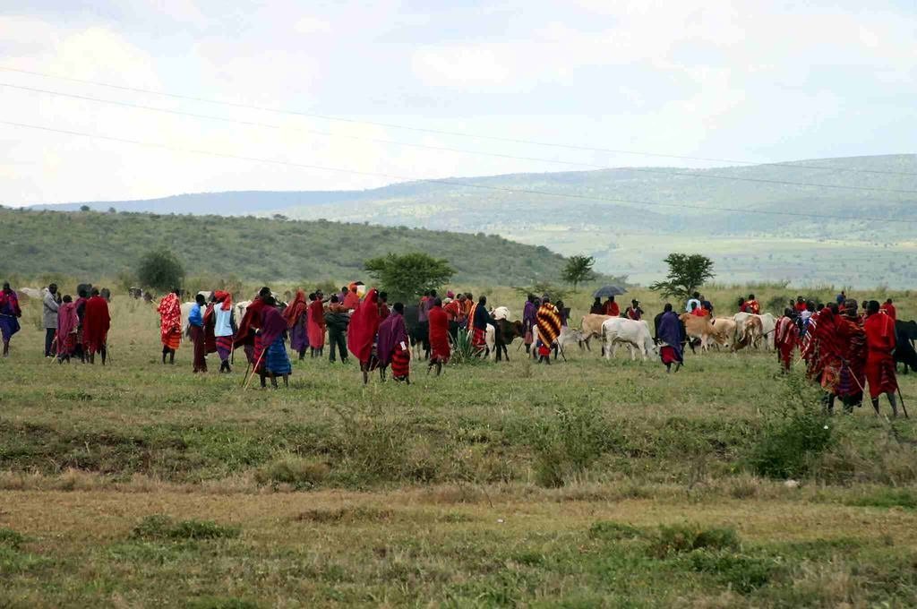 Afrika’nın savaşçı kabilesi: Masailer