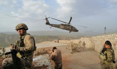 2 more PKK terrorists surrender to Turkish security forces