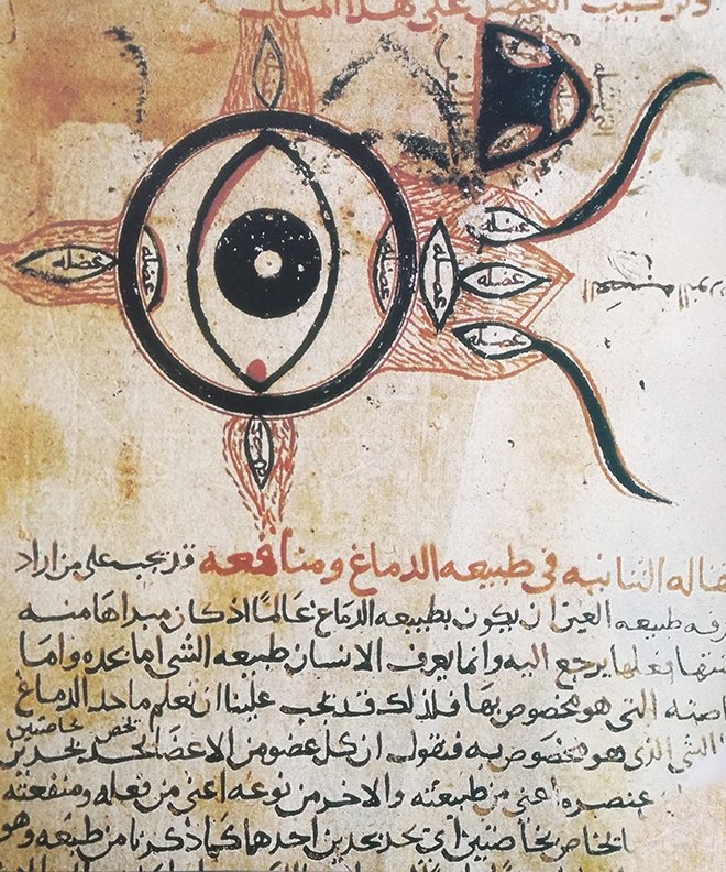 Goz Hekimliginin Temelini Atan Musluman Tabipler Fikriyat Goz Hekimliginin Temelini Atan Musluman Tabipler Fikriyat