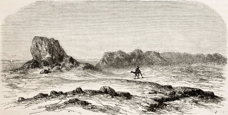 BİTKİLERLE TEDAVİNİN GEÃMİÅİ