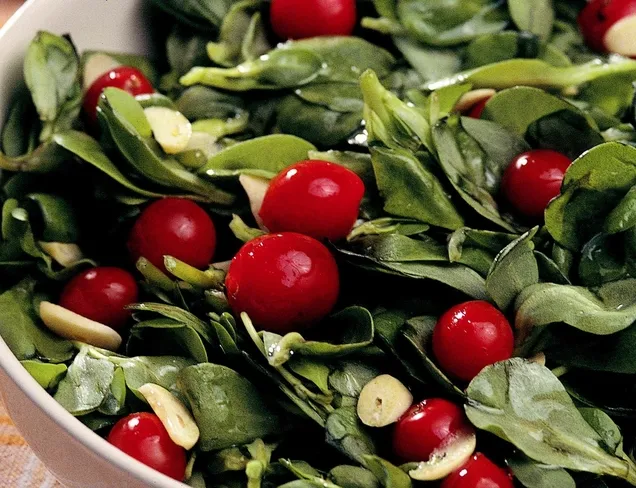 Sarımsaklı Semizotu Salatası