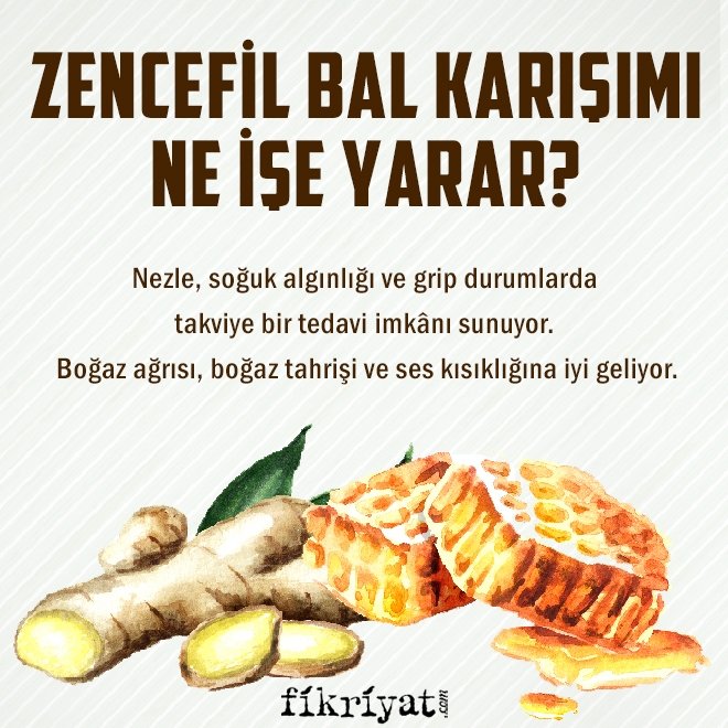 Zencefil bal karışımı neye iyi gelir? Zencefil bal karışımının ...