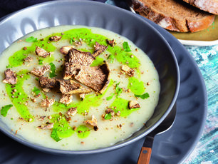Mantar Çorbası
